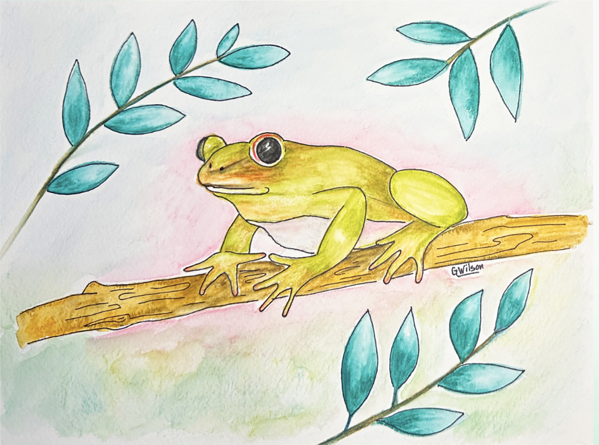 Leap into Learning with Watercolor Pencils